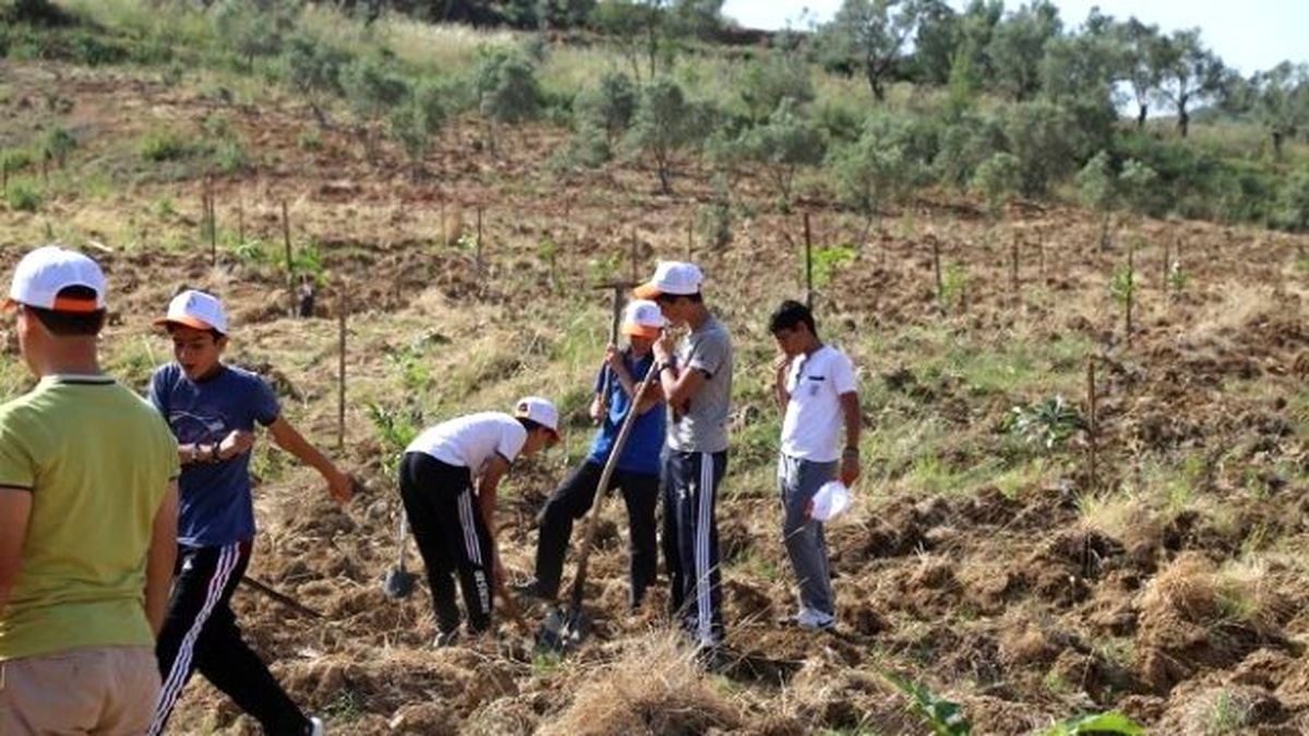 Çevre Günü 180 Ağaç Fidesi Dikimi ile Kutlandı