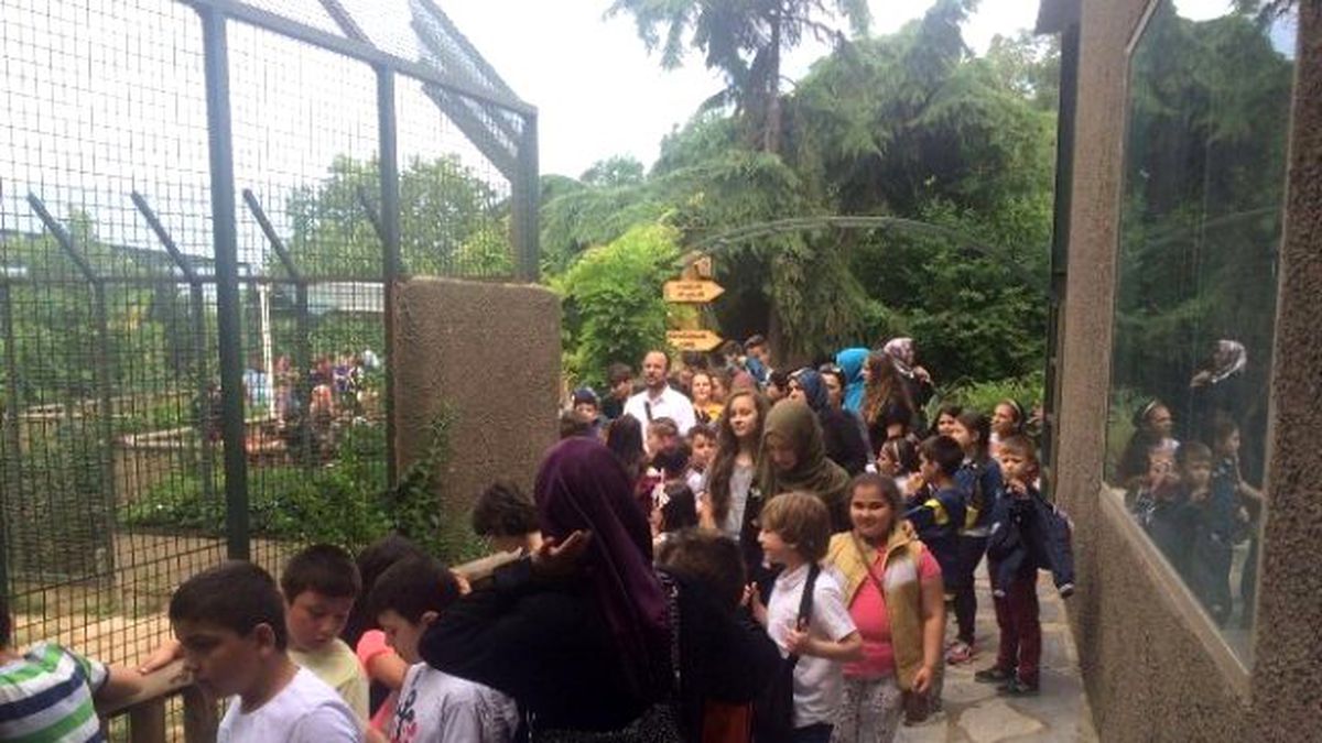Ödül Olarak Hayvanat Bahçesine Gittiler
