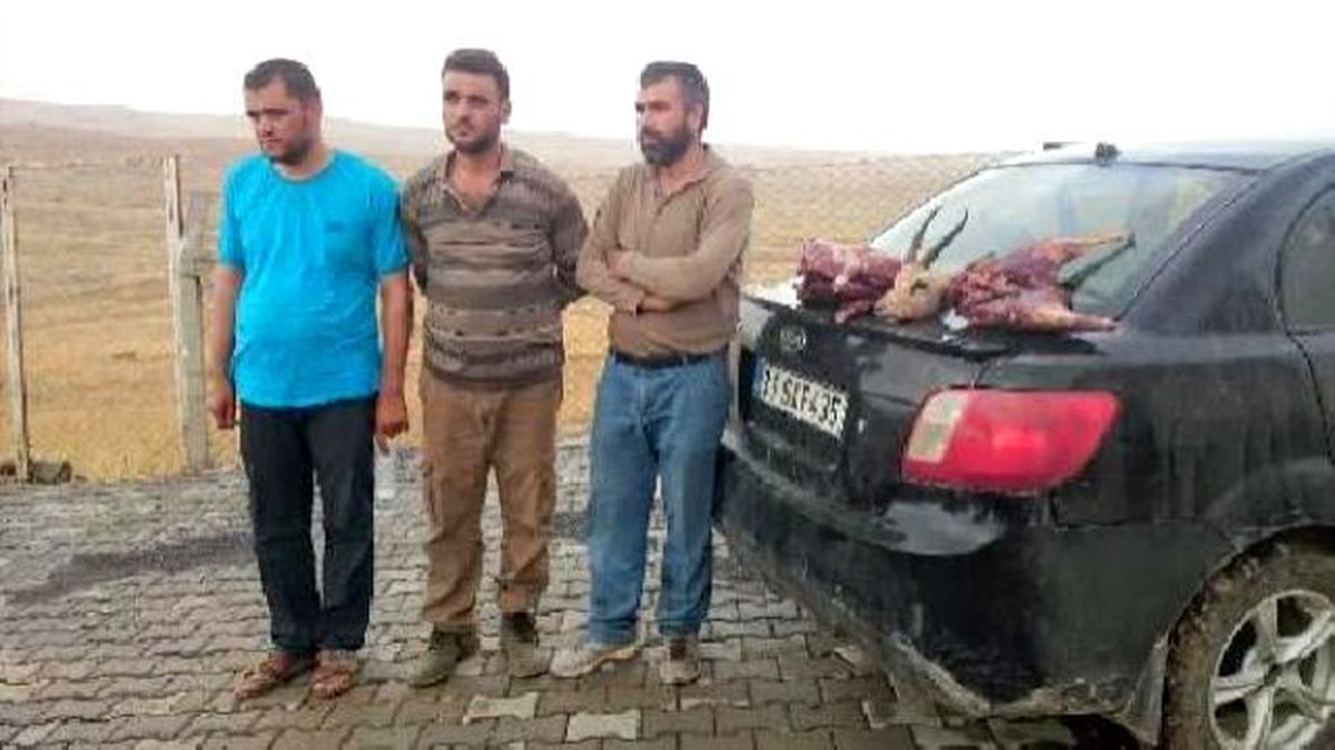 Şanlıurfa\'da, Ceylan Avlayan 3 Kişiye 33 Bin Lira Ceza