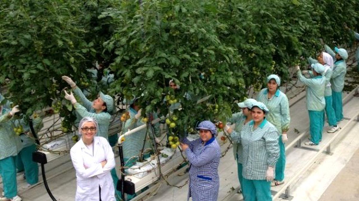 Sultan Sera Sezonun Rekorunu Kırdı