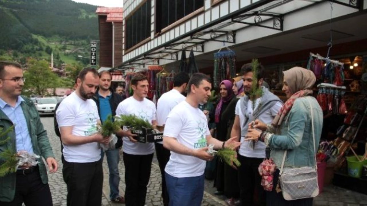 Trabzon\'da Dünya Çevre Günü Hafta Sonu Çeşitli Etkinliklerle Kutlandı