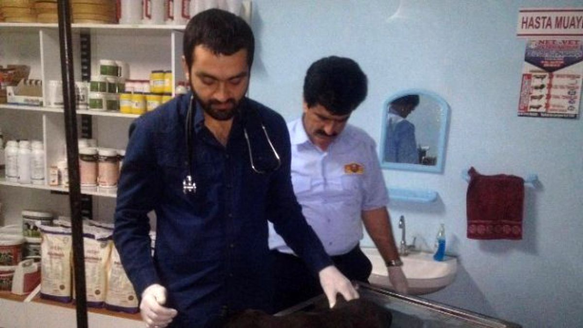 Yaralı Köpek Tedavi Altına Alındı