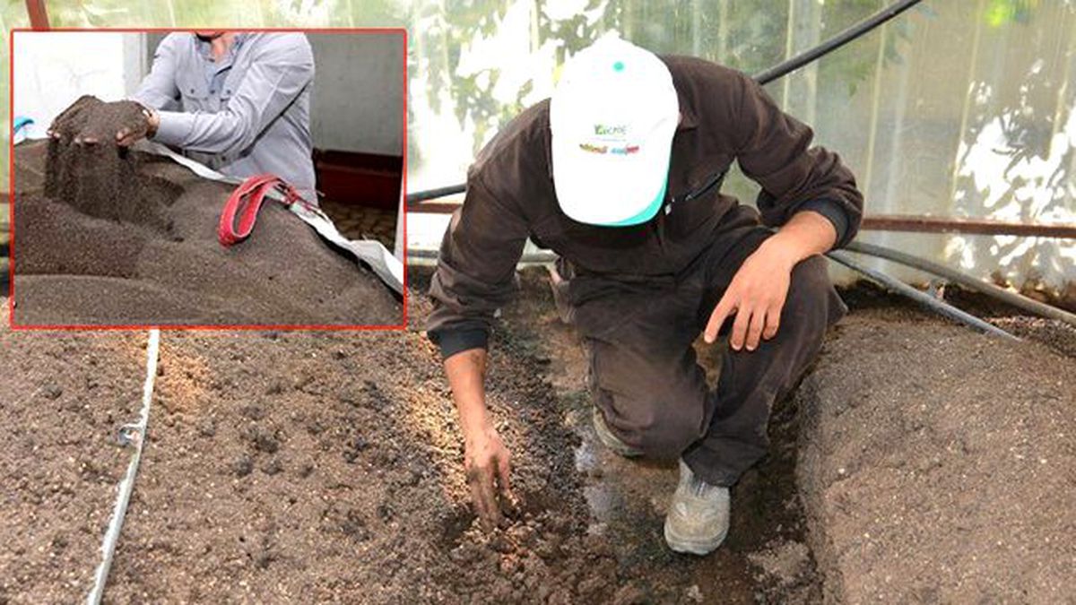 Atıklarla Beslediği Solucanlardan Organik Gübre Üretiyor