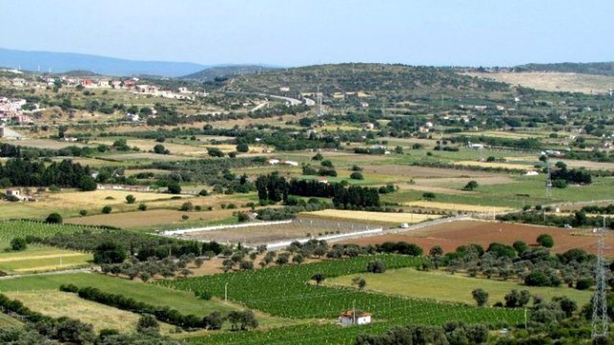 Çeşme Tarımsal Kalkınma Kooperatifi Kuruluyor