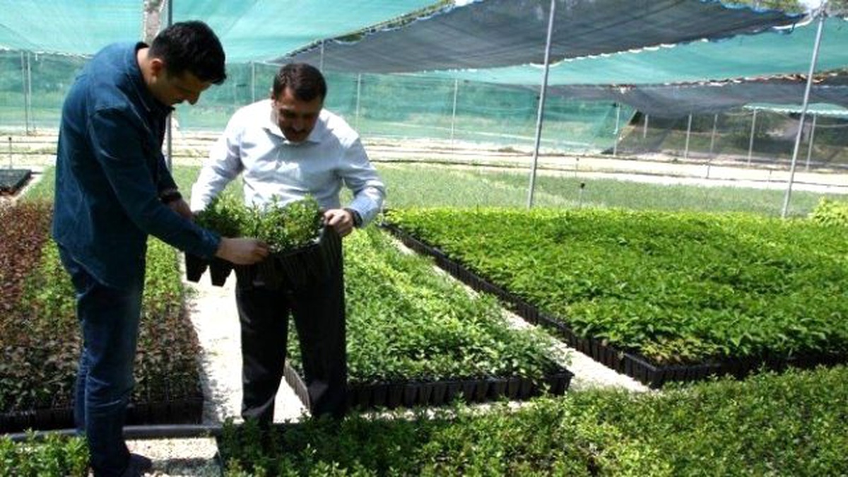 Eskişehir Orman Fidanlık Müdürlüğü, Süs Bitkileri Üretiminde de Hamle Yaptı
