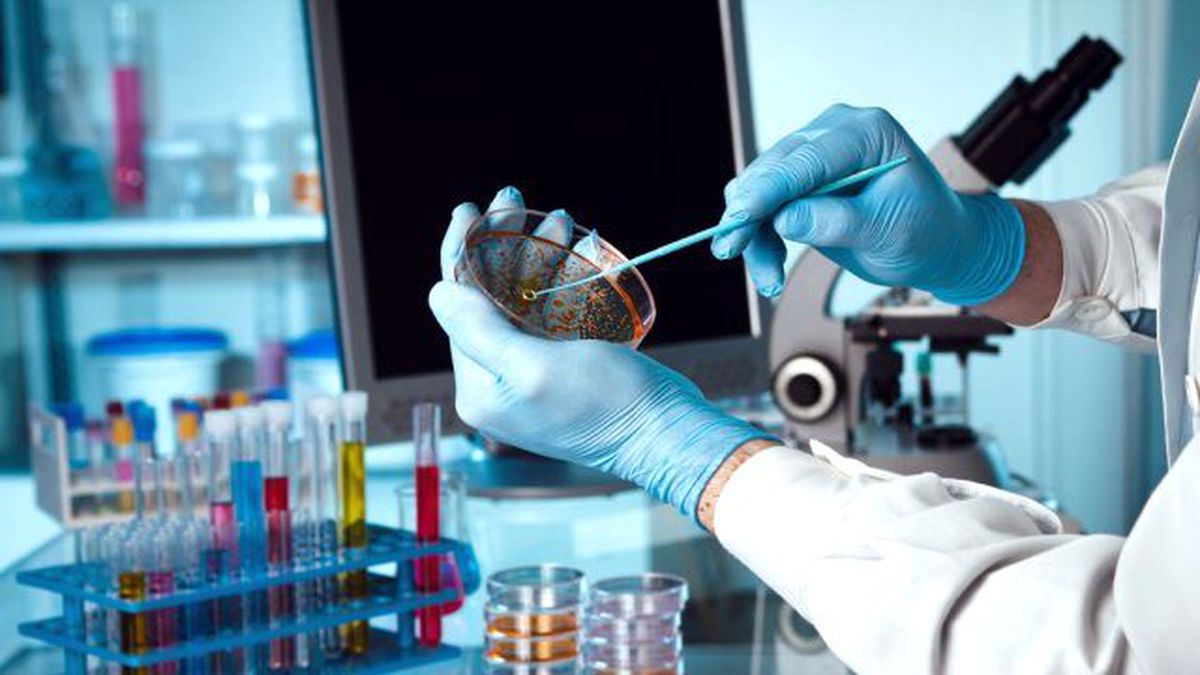 Genlerle Oynayarak Süper İnsan Üretecekler