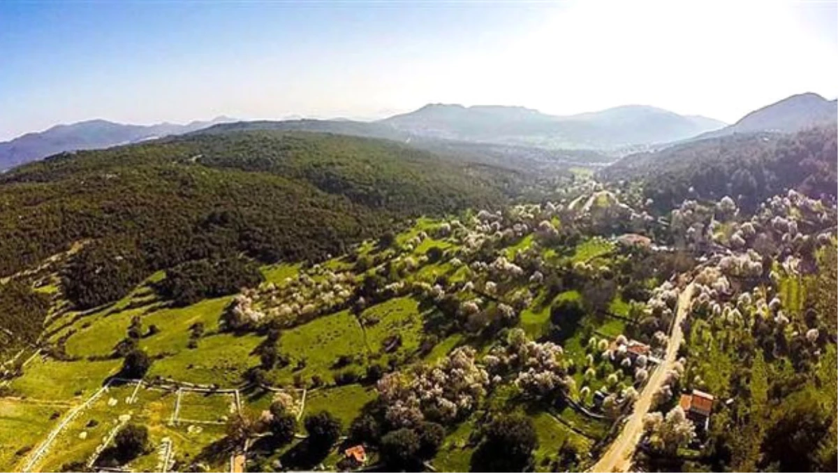 Havalimanı Planına Tepki: Kaş Böyle Güzel