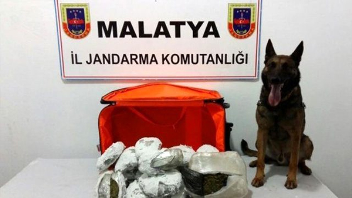Jandarmadan Asayiş Uygulaması