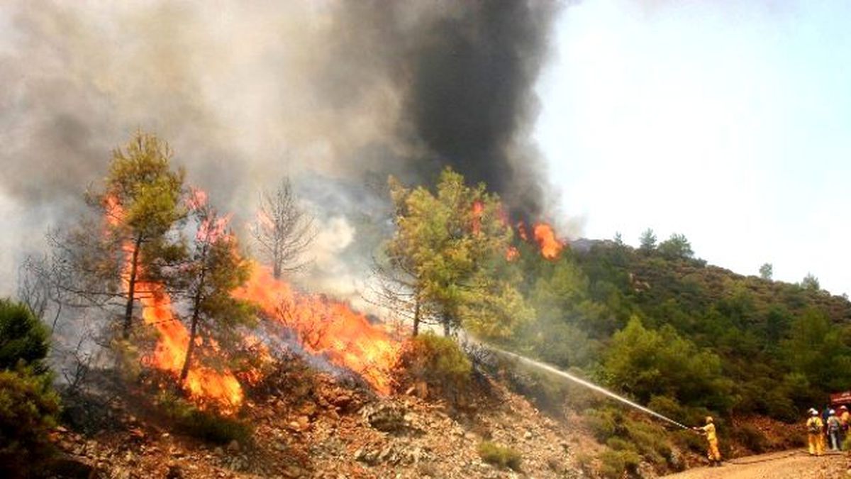 Uçak Krizi Sebebiyle, Söndürme Uçaklarında Rus Pilotlara Görev Verilmedi