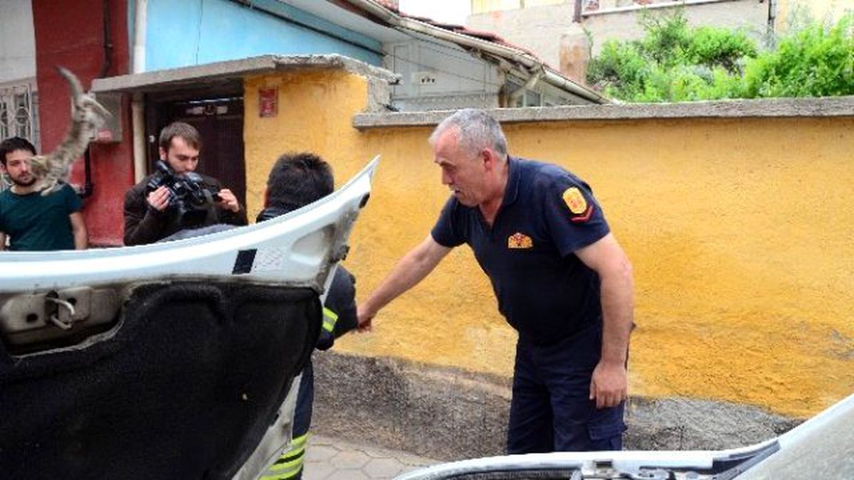 Yavru Kedi İtfaiye Ekiplerini Seferber Etti