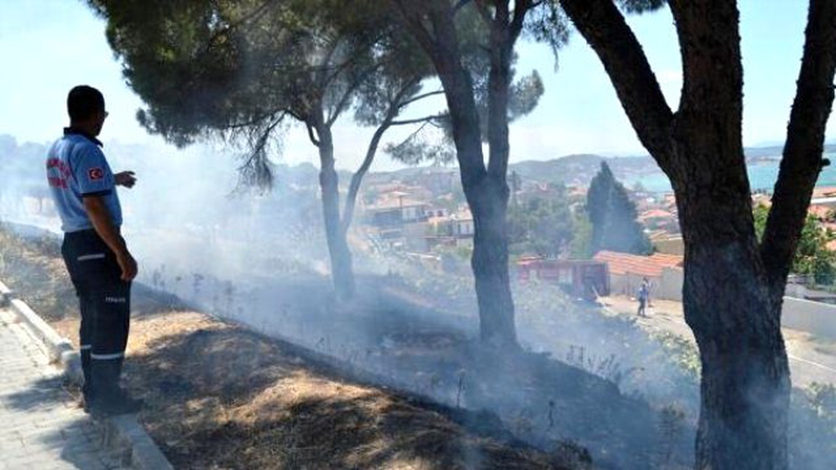 Ayvalık\'ta Söndürülmeden Atılan Sigara Yangın Çıkardı