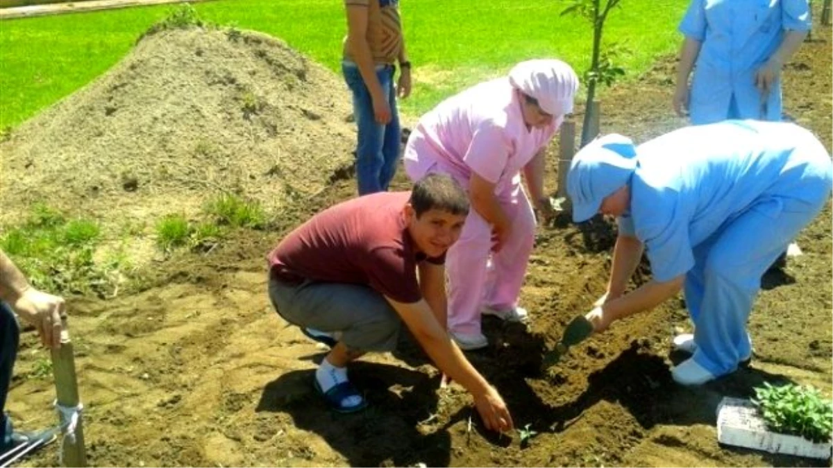 Benim de Dikili Bir Ağacım, Bir Gülüm Var" Projesi