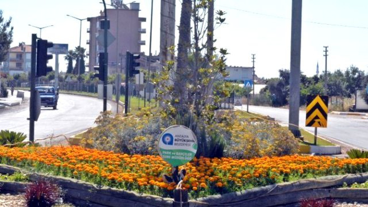 Demre 50 Bin Çiçekle Rengarenk Oldu