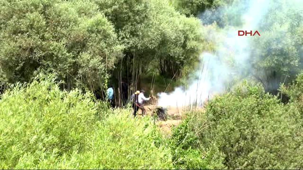 Diyarbakır Unesco Listesindeki Hevsel Bahçeleri'nde Uyuşturucu Operasyonu