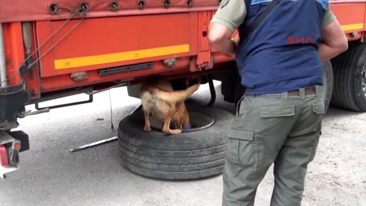 Eskişehir\'de 164 Kilo Eroin Ele Geçirildi