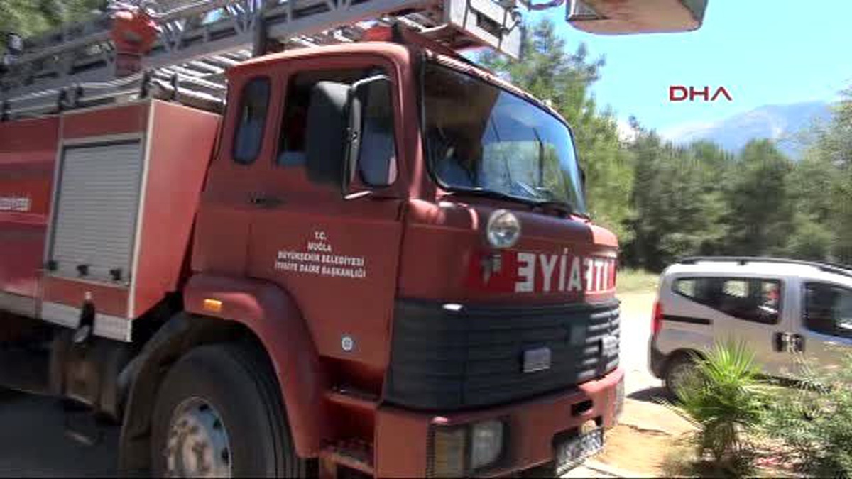 Fethiye Yağmur Suyu Borusuna Sıkışan Anne ve Yavru Kaplumbağa Kurtarıldı