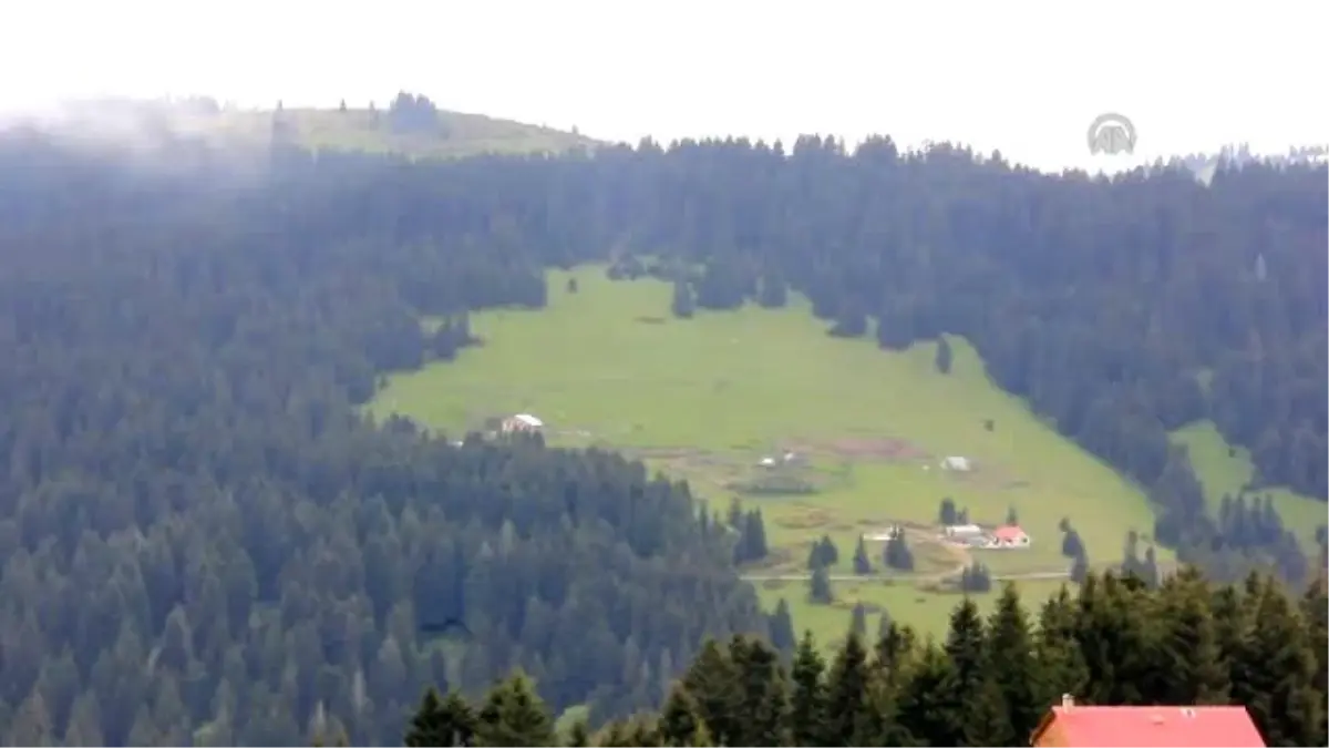 Giresun Turizmde İlgi Odağı Olmaya Başladı"