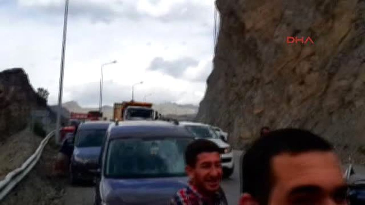 Hakkari Dağ Keçileri Tel Örgülere Takıldı