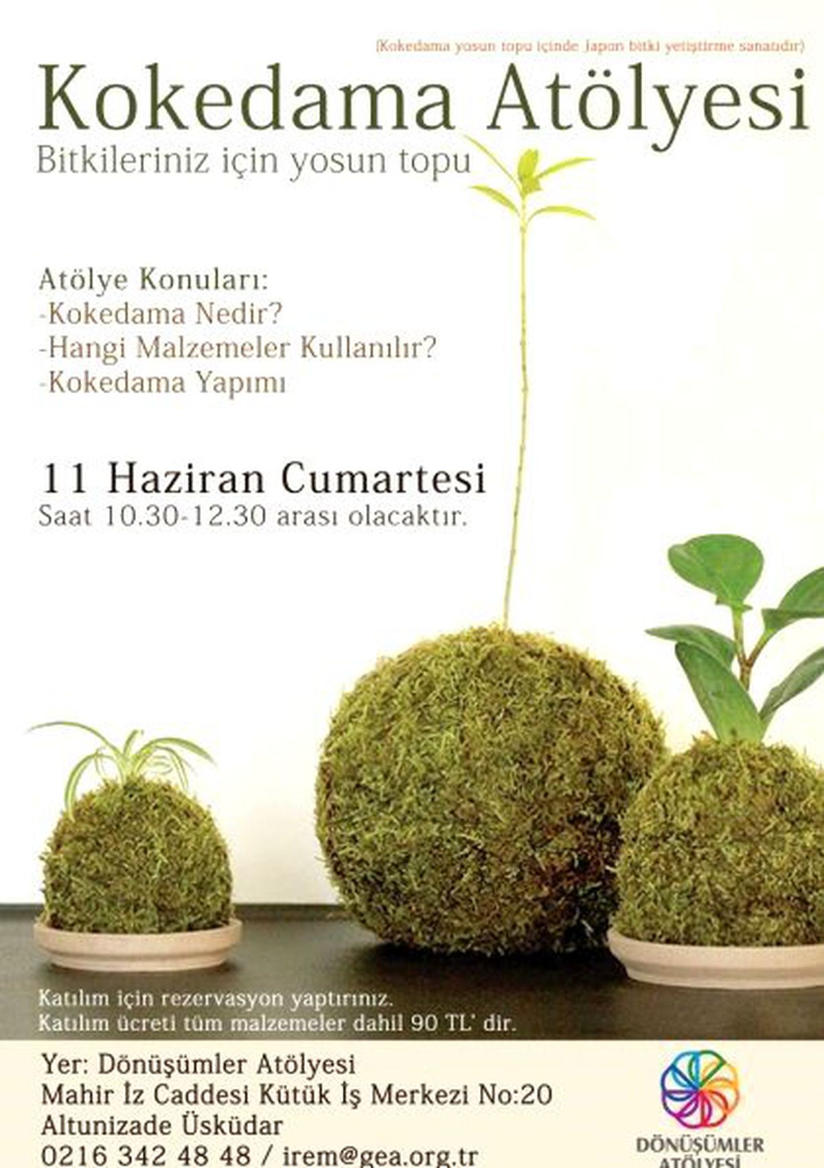 Kokedema Atölyesi
