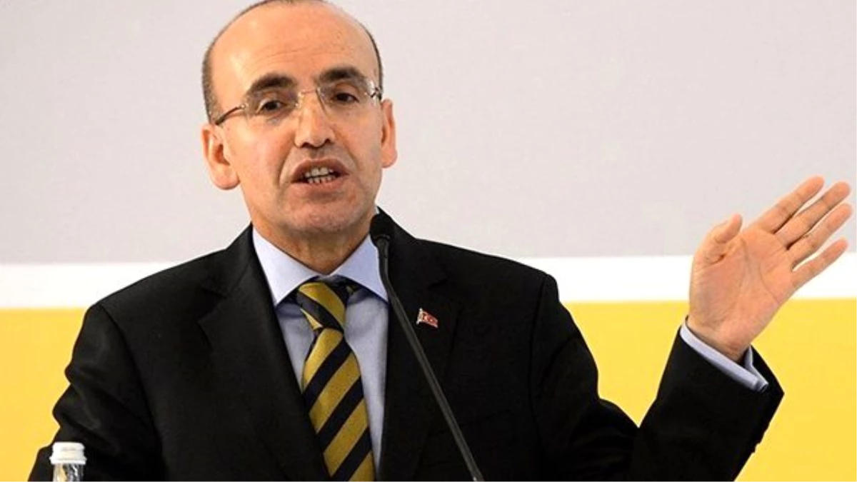 Mehmet Şimşek: Çalışanlar İsterse BES\'ten Belli Bir Süre İçinde Çıkabilecek