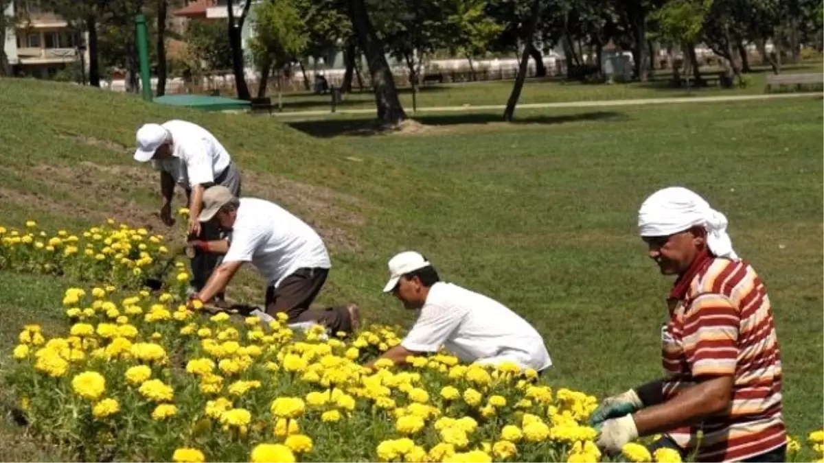 Mevsimlik Çiçek Ekim Çalışmaları Devam Ediyor