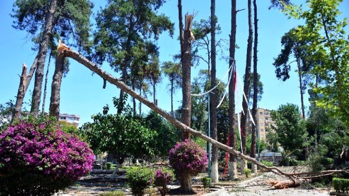 Tarsus Kültür Parkı\'nda Facianın Eşiğinden Dönüldü