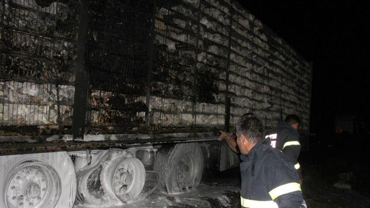 Tavuk Yüklü TIR'da Yangın! 8 Bin Tavuk Telef Oldu