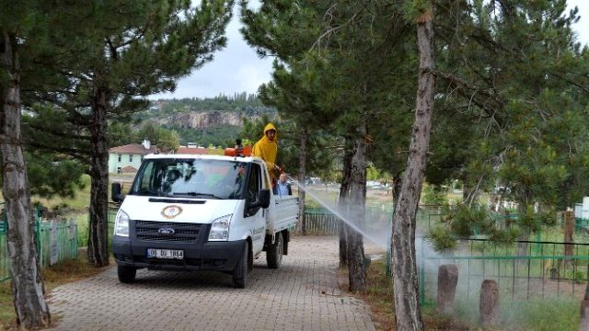 Bünyan Belediyesi Mezalıklarda Bakım ve İlaçlama Yapıyor