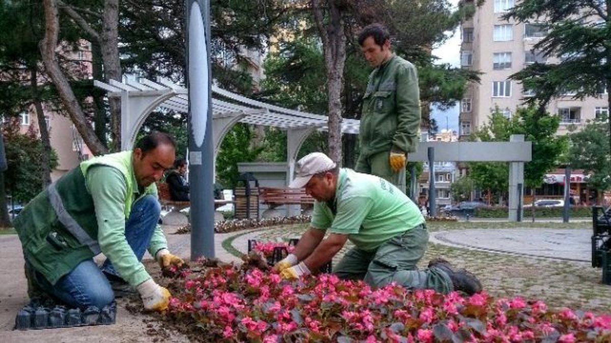 Çorum Çiçeklerle Donatılıyor