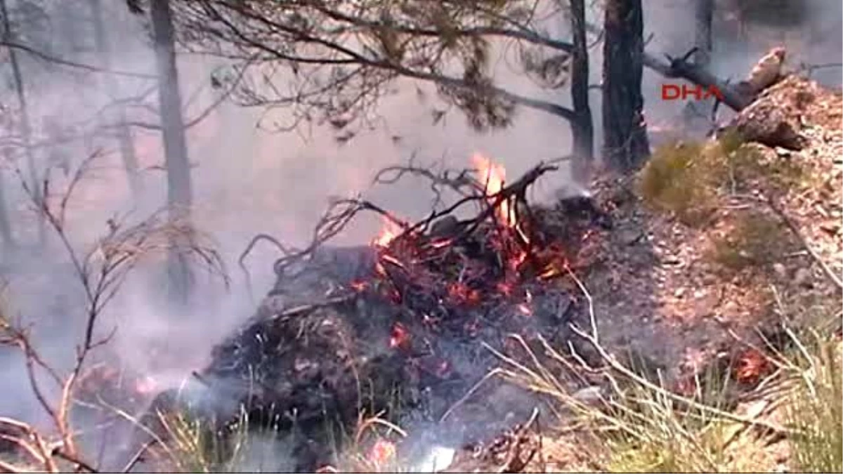 Datça\'da Alevler 1 Hektar Kızılçam Ormanını Küle Çevirdi