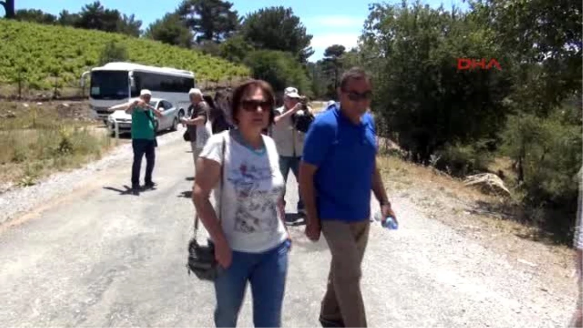 İzmir Altın Madenine Karşı Hukuk Zaferi Kazanan Çoban, Keçilerini Bırakamayınca Ödülünü Alamadı