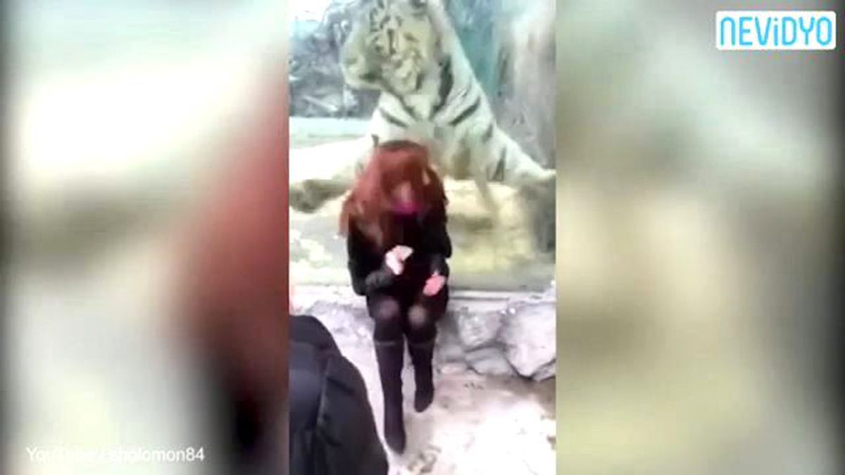 Kaplana Sırtını Dönünce...