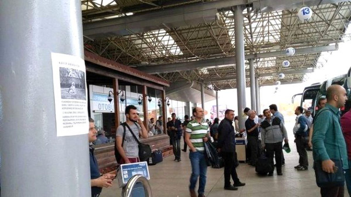 Kaybolan Köpeğini Bulana Ödül Vaadinde Bulundu