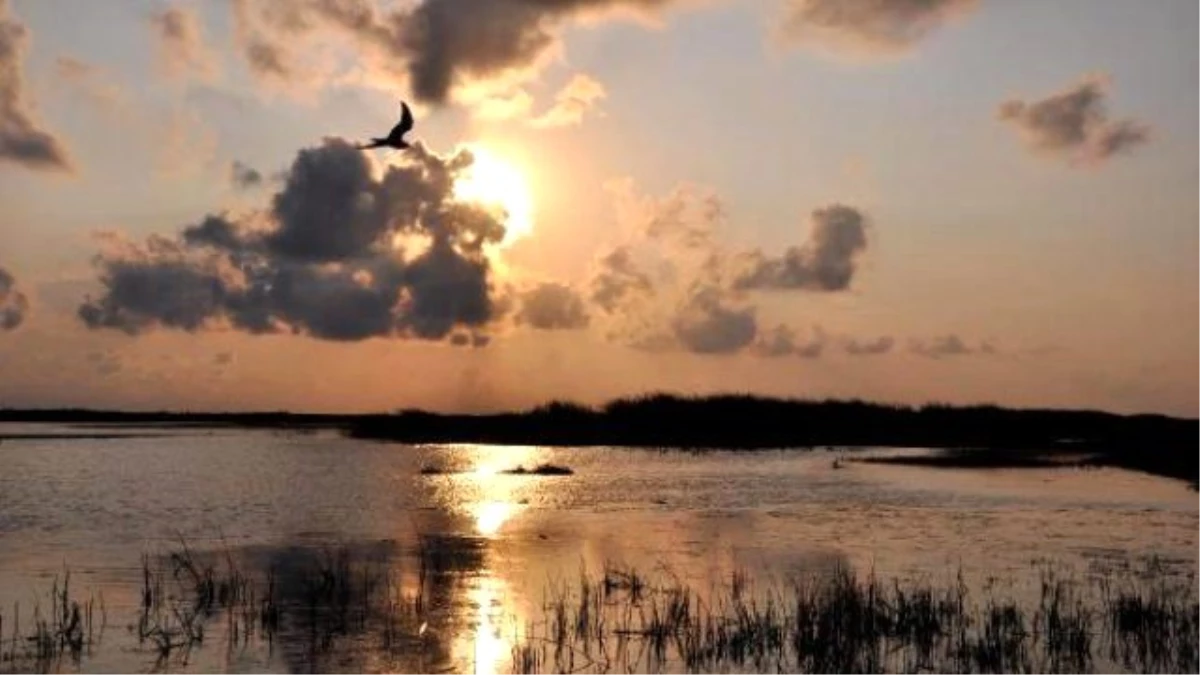 Kızılırmak Deltası, Unesco Dünya Mirası Geçici Listesinde