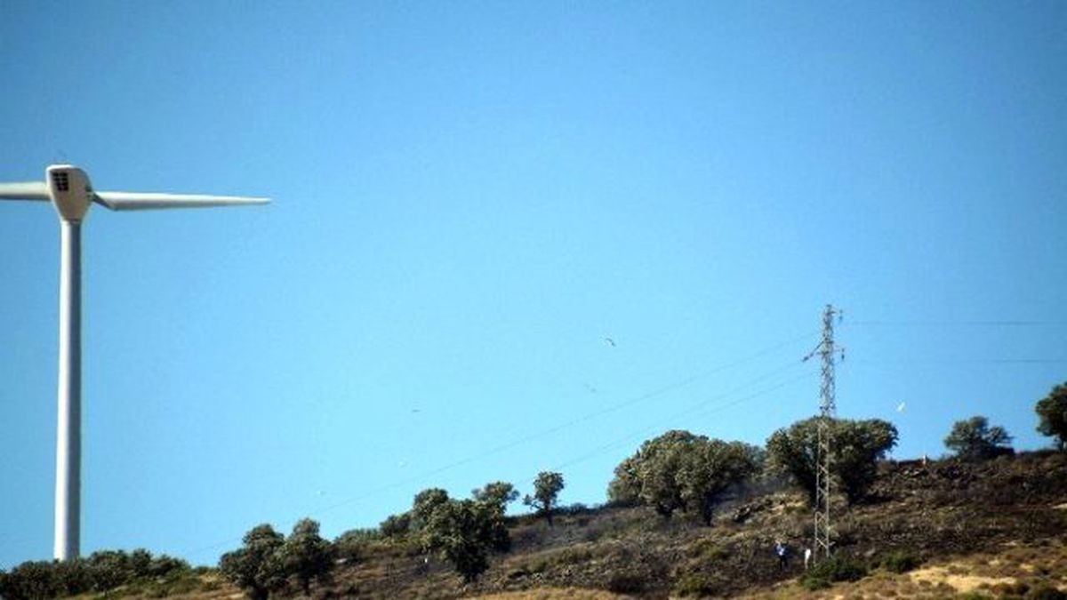 Kopan Elektrik Telleri Yangın Çıkardı
