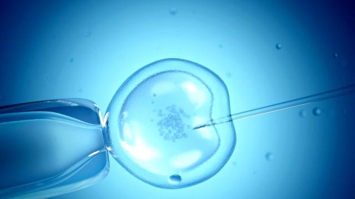 Üç Ebeveyn Bir Bebek, Süper Bebek Fikri Gerçeğe Yaklaşıyor