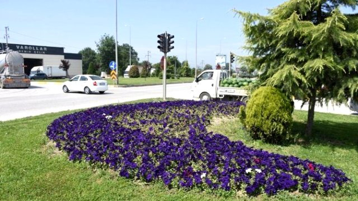 Yeşil Düzce Çiçeklerle Güzelleşiyor