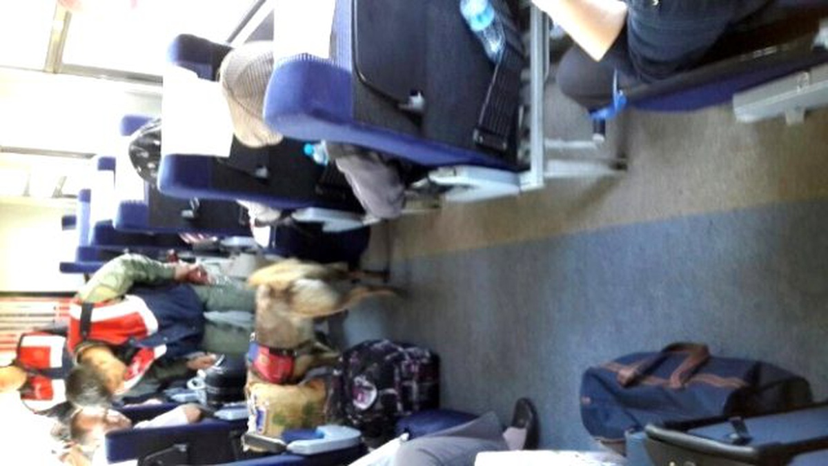 Yolcu Trenlerinde Köpekle Bomba ve Uyuşturucu Denetimi