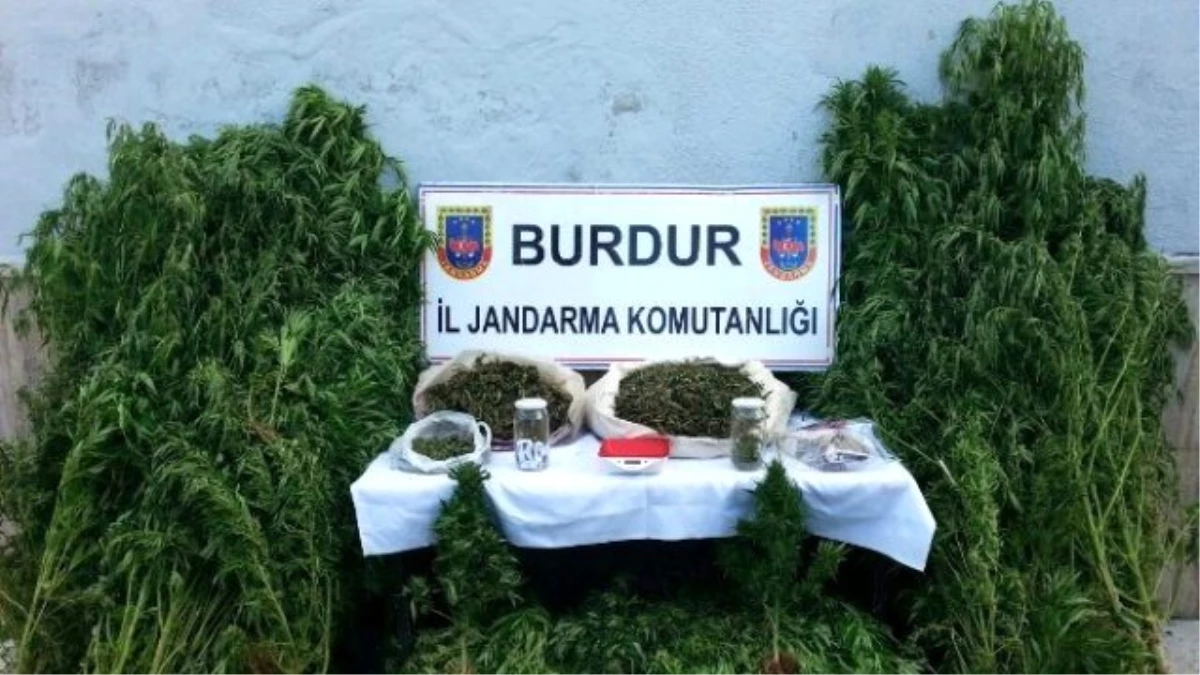 Burdur\'da Uyuşturucu Operasyonu