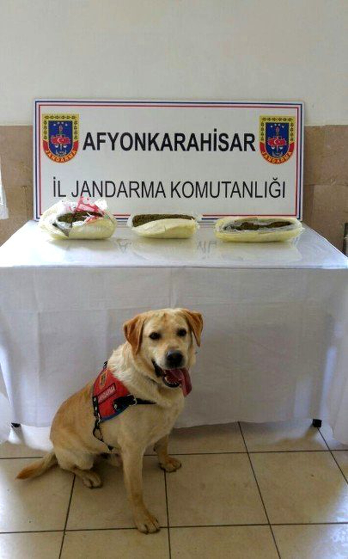 Jandarma Operasyonunda 2 Kilo 129 Gram Esrar Ele Geçirdi