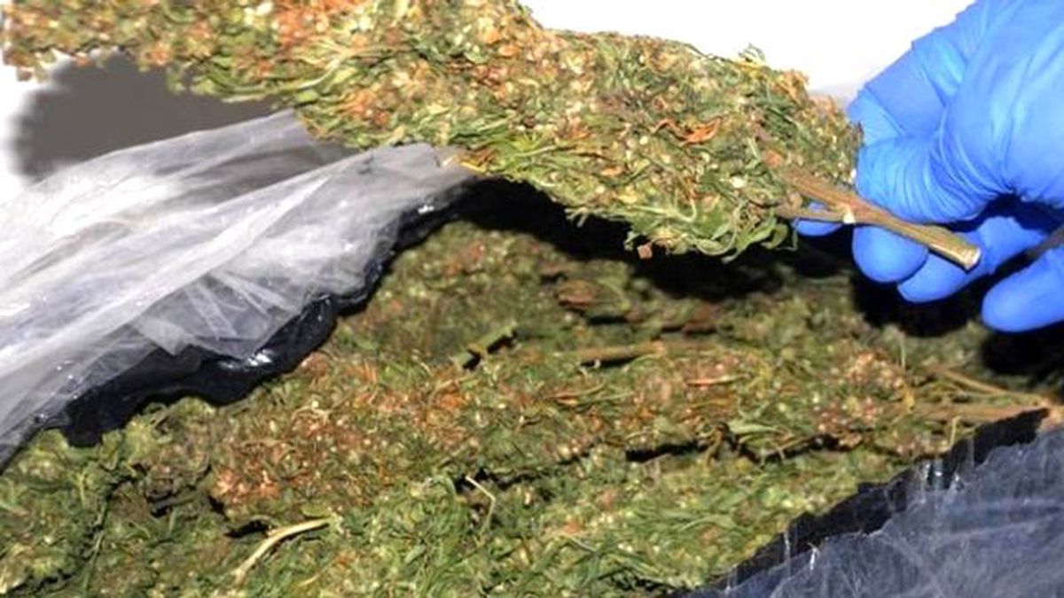 Sivas\'ta 10 Kilo Esrar Ele Geçirildi