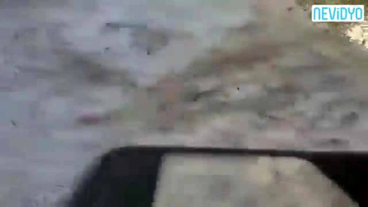 Tüyleriniz Diken Diken Olacak... Milyonlarca!