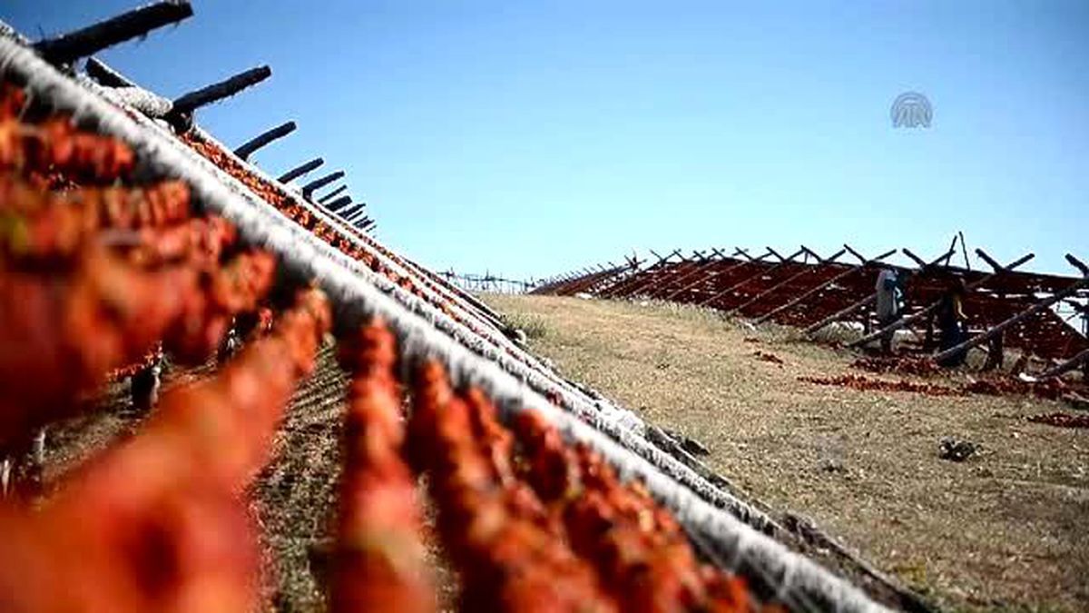 Yaz Yağmuru' Onlar İçin Kabus