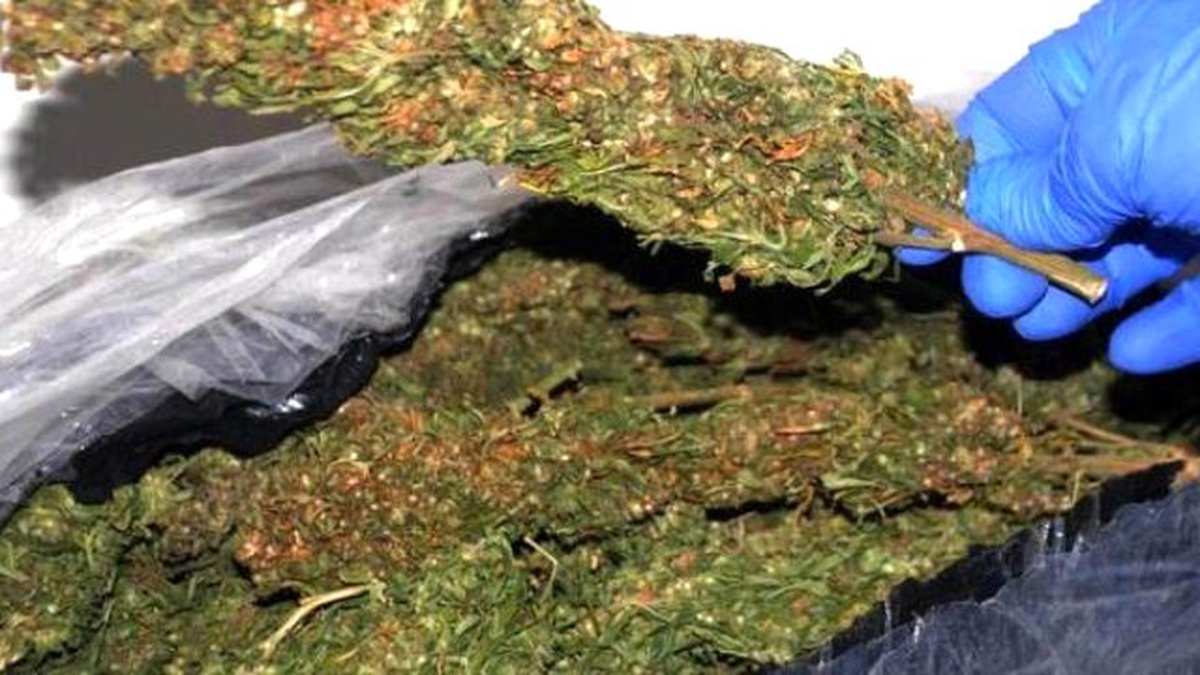 Yolcu Otobüsünde 10 Kilo Esrar Ele Geçirildi