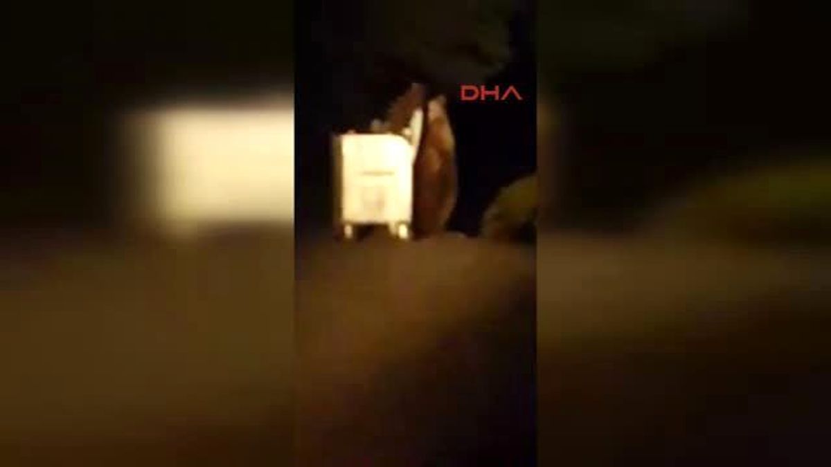 Bursa-Uludağ\'da Ramazan Ayılara Yaradı