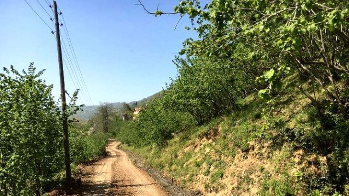 Düzce\'de Köy Yolları Elden Geçiyor