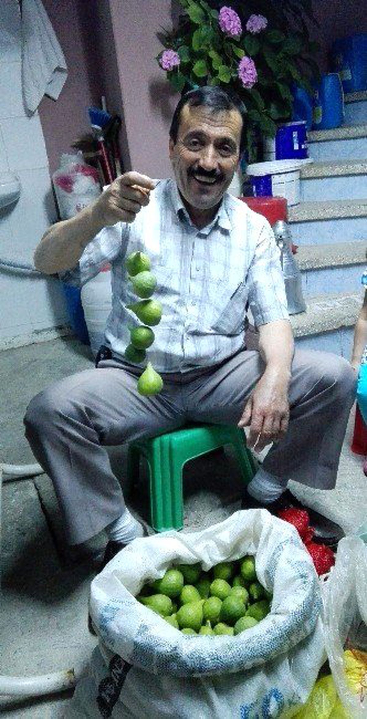 İncirler İleklenmeye Başladı