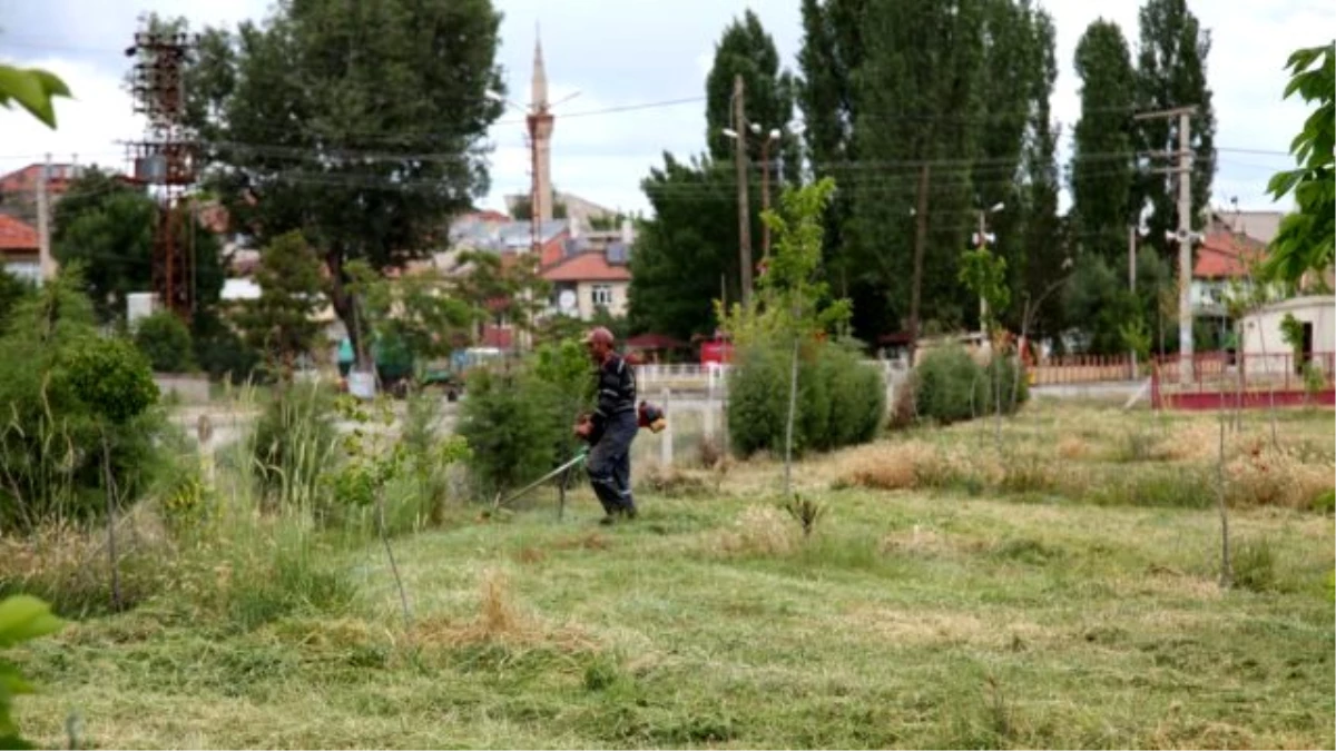Seydişehir Belediyesi Ot Biçme Çalışmaları Devam Ediyor