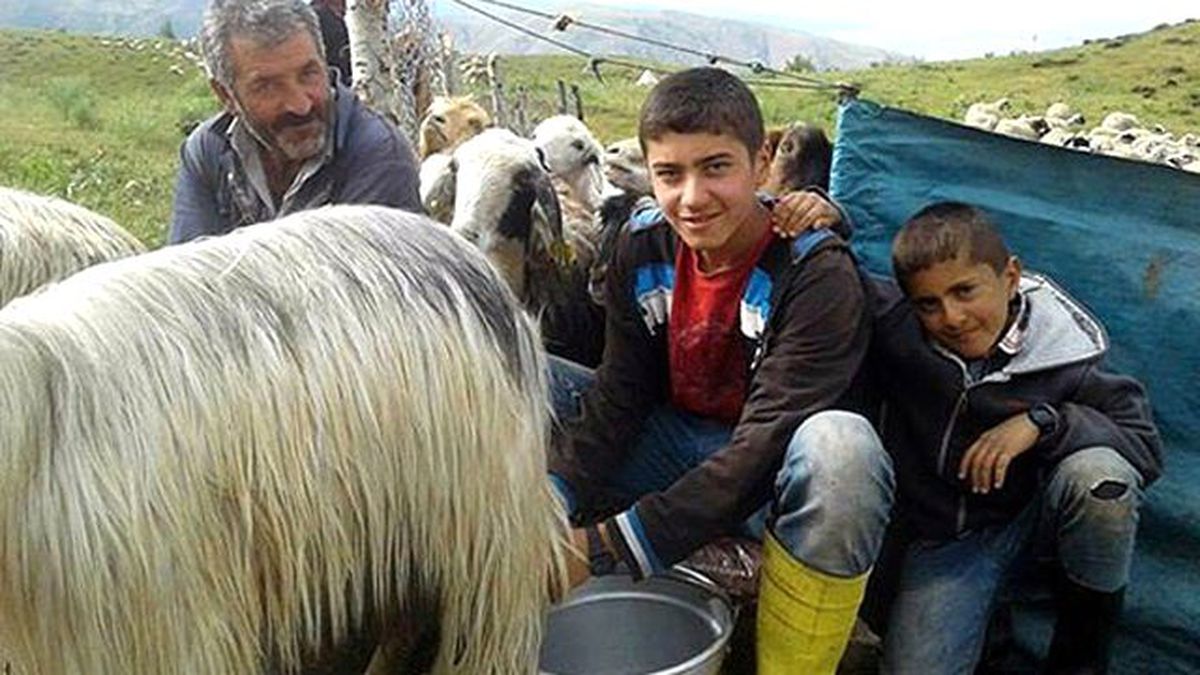 Tunceli'de Çobanlık Yapan Mahir TEOG Türkiye Birincilerinden Oldu