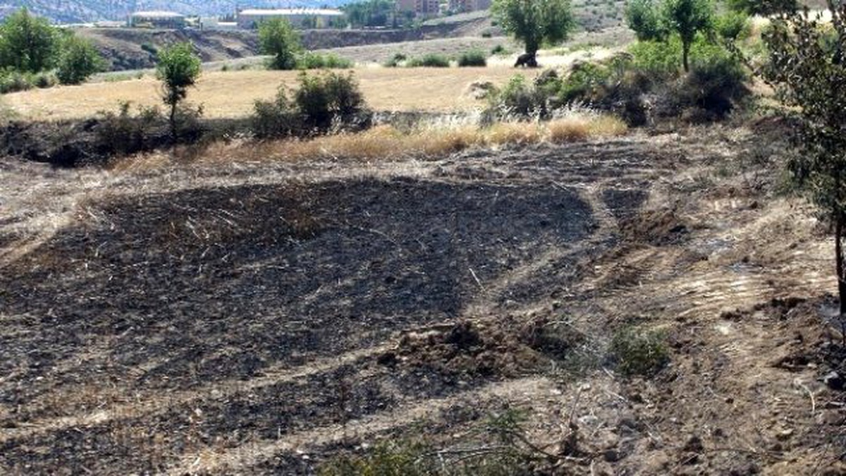 Yangın 25 Dönümlük Ekili Araziyi Küle Çevirdi